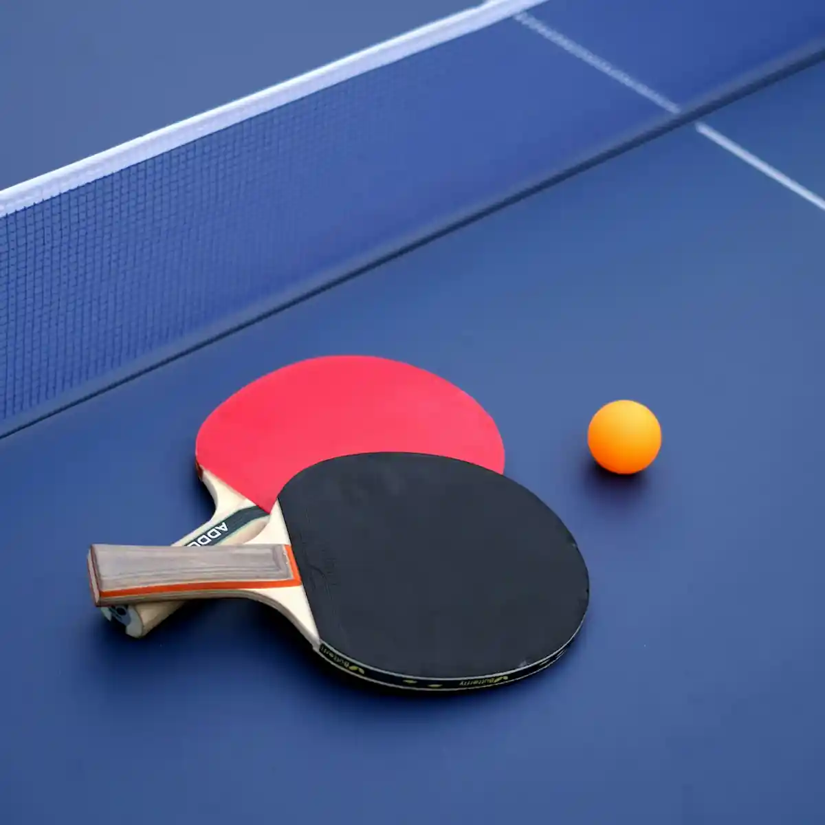 Pingpong court - Premium sports facility